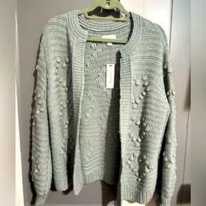 New light blue/gray oversized cardigan from Francesca’s. Size large. Never worn